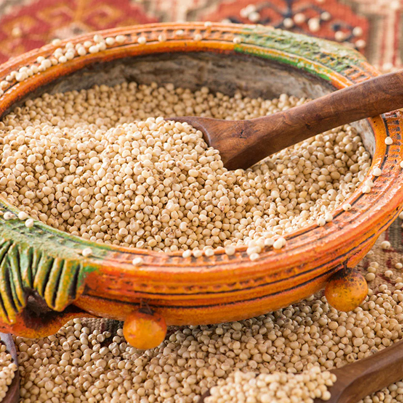 Sorghum