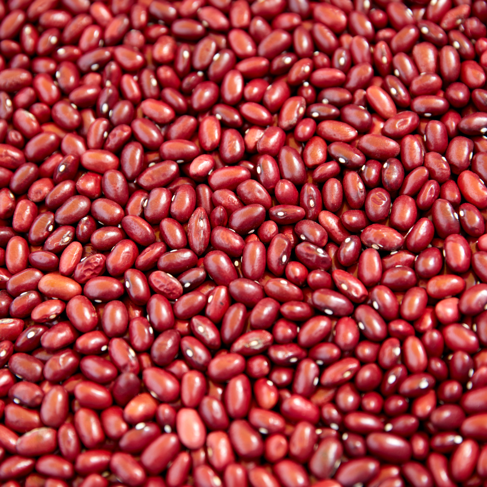 Kidney Beans Rajma