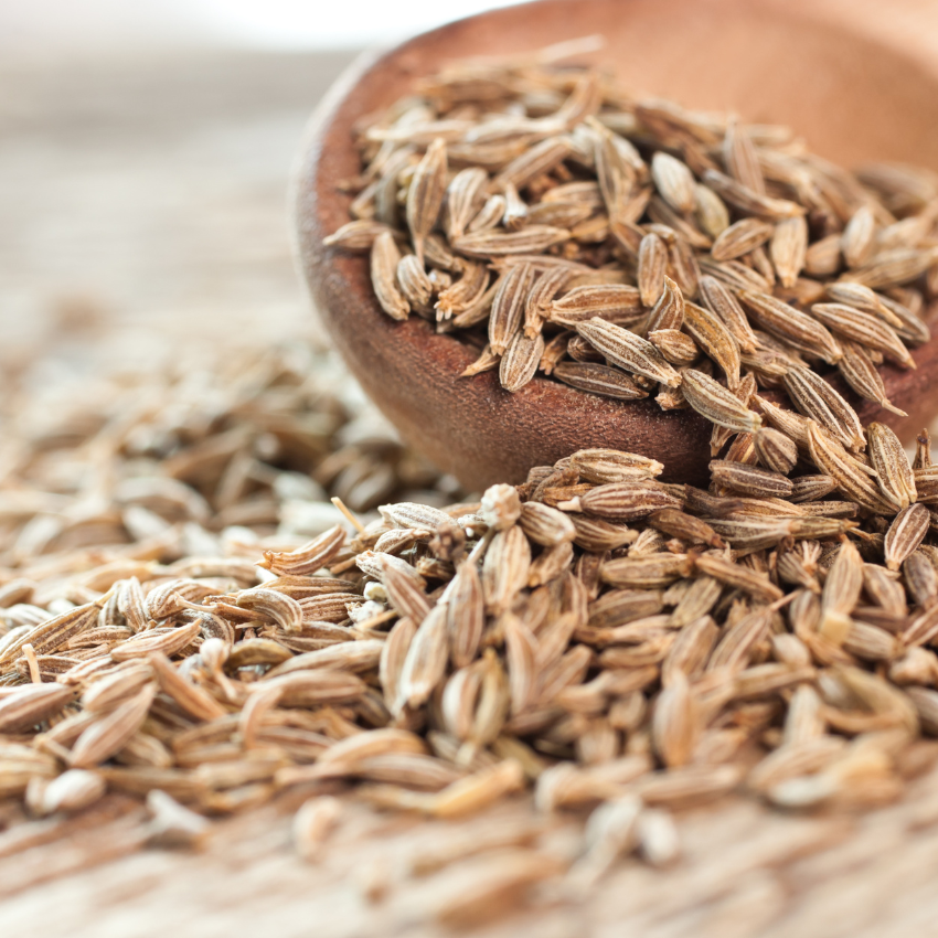 Cumin Seed