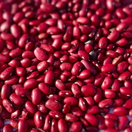 Premium red kidney beans rajma from a Kidney Beans exporter from India